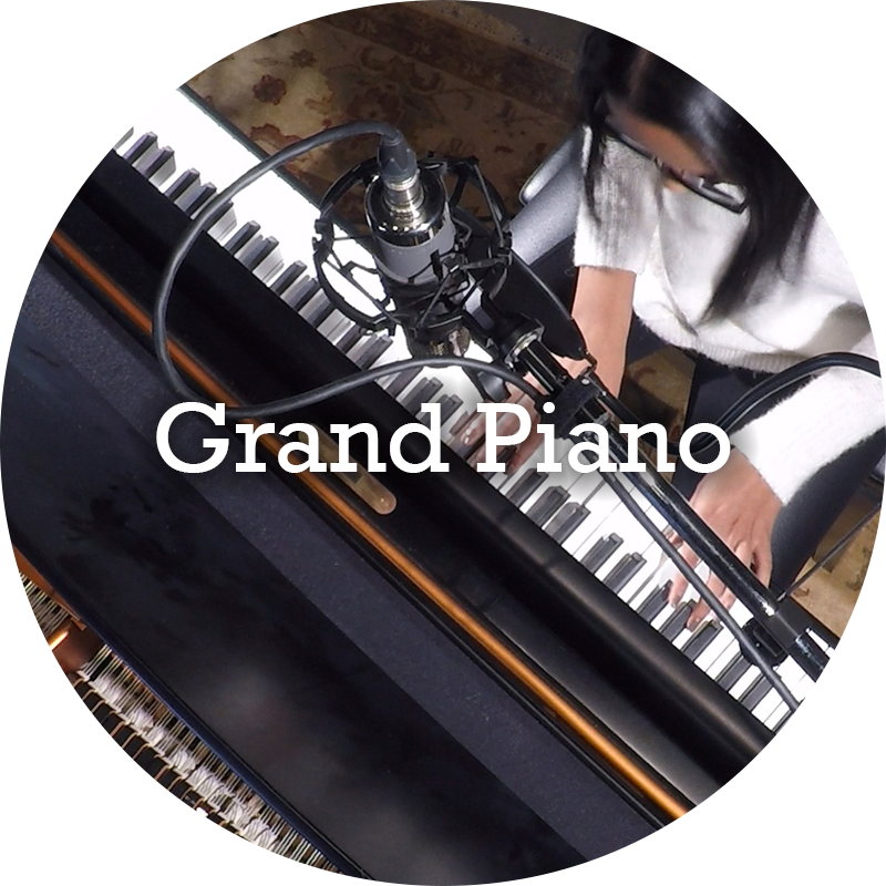 Record on our beautiful Bösendorfer grand piano